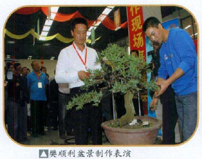 2010 第三届中国唐风盆景展隆重开幕