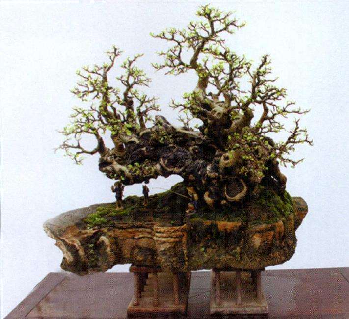 2010 第三届中国唐风盆景展隆重开幕