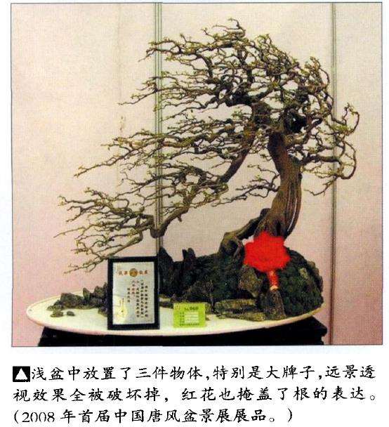 日本 第十届亚太盆景赏石展 图片