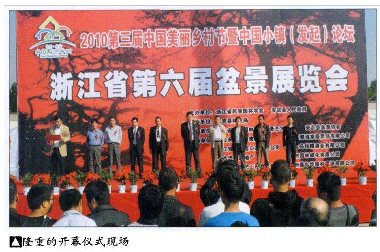 浙江省第六届盆景展览会