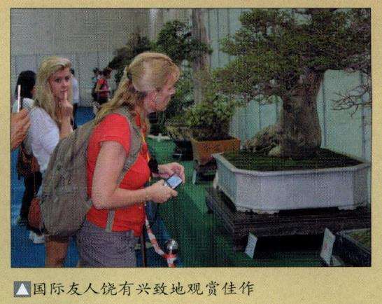 2010 第八届粤港澳台盆景艺术博览会