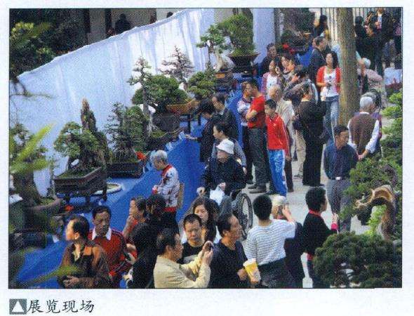 第八届武汉盆景展览成功举办