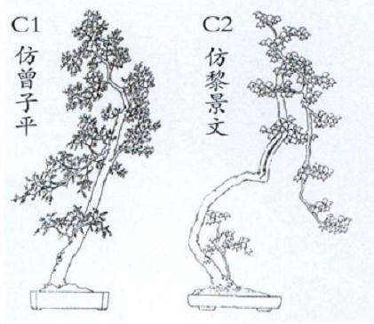 为什么文人树盆景制作难度大 图片