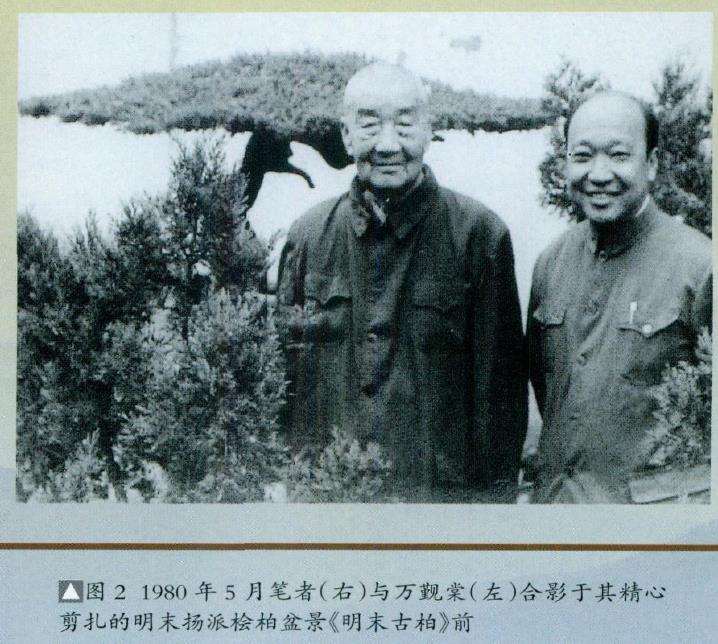 当代扬派盆景拥有2大宗师 图片