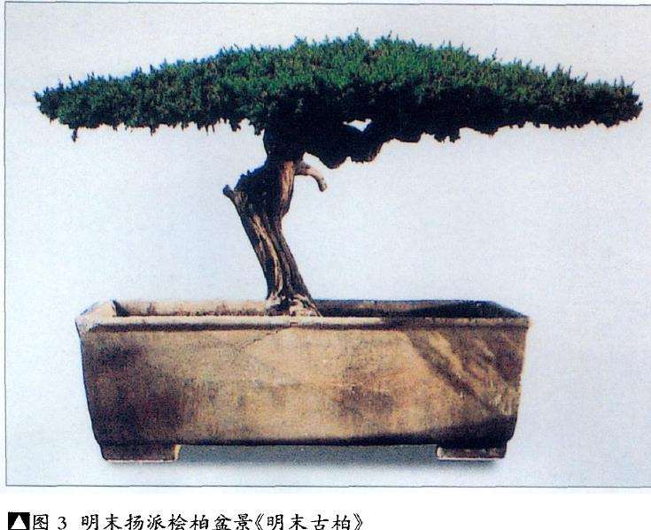 当代扬派盆景拥有2大宗师 图片