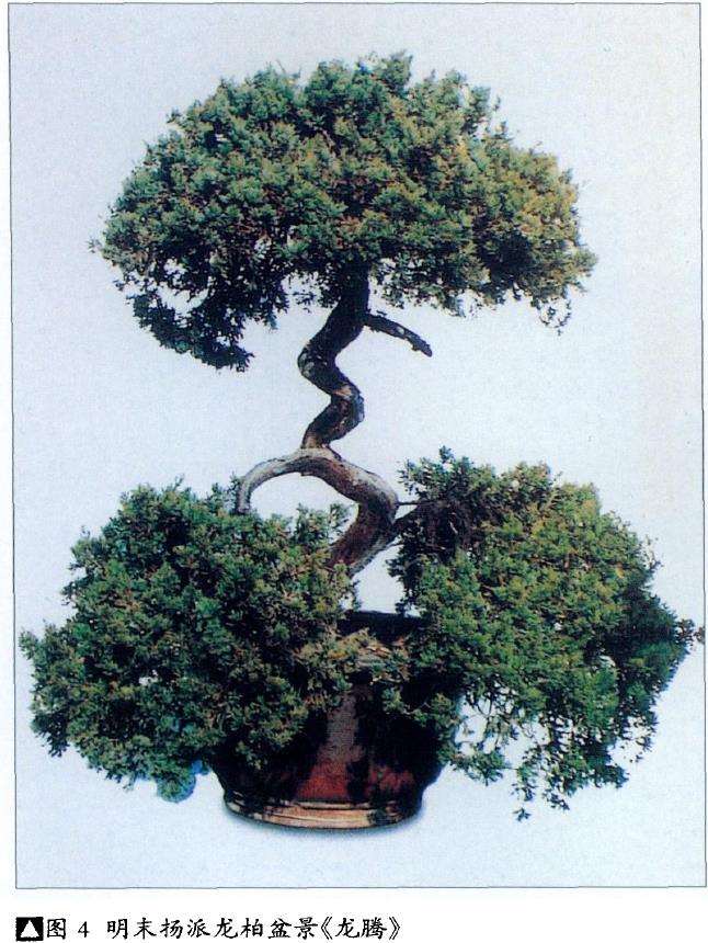 当代扬派盆景拥有2大宗师 图片