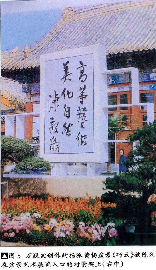 当代扬派盆景拥有2大宗师 图片