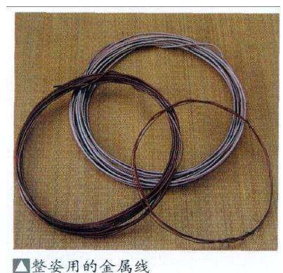 盆景金属线整型的3个优点