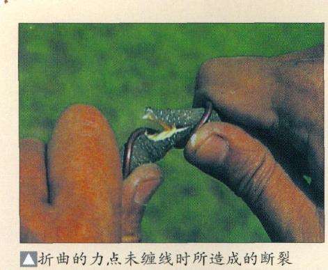 盆景缠金属线怎么整姿技术