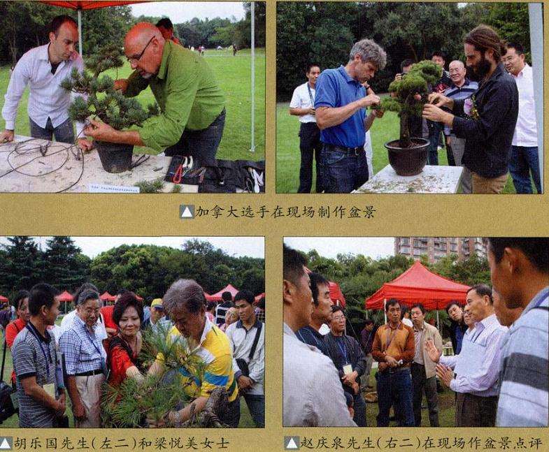 中国盆景精品邀请展暨盆景创作比赛