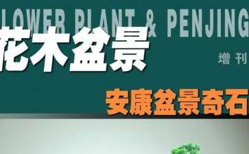 我爱上了《花木盆景》盆景赏石版