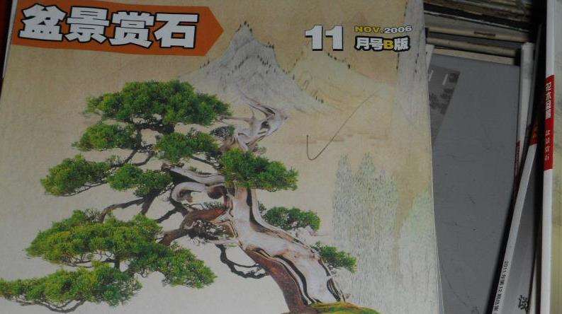 《花木盆景》盆景赏石版