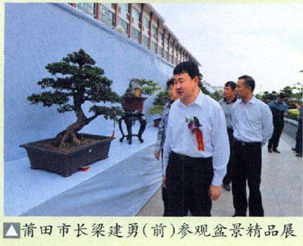 第六届莆田市盆景雅石展览