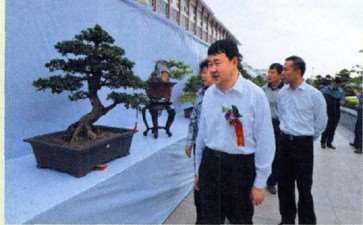 2010 第六届莆田市盆景雅石展览