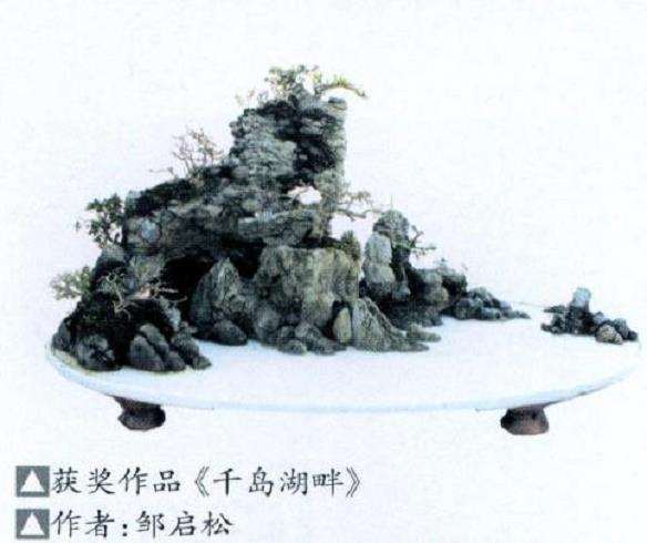 赤壁福星花园盆景艺术展