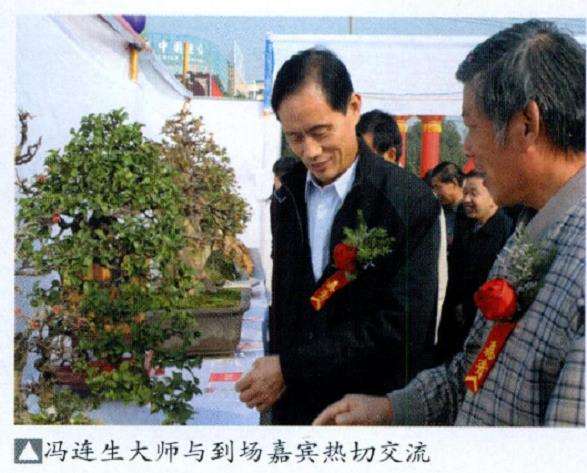 赤壁福星花园盆景艺术展