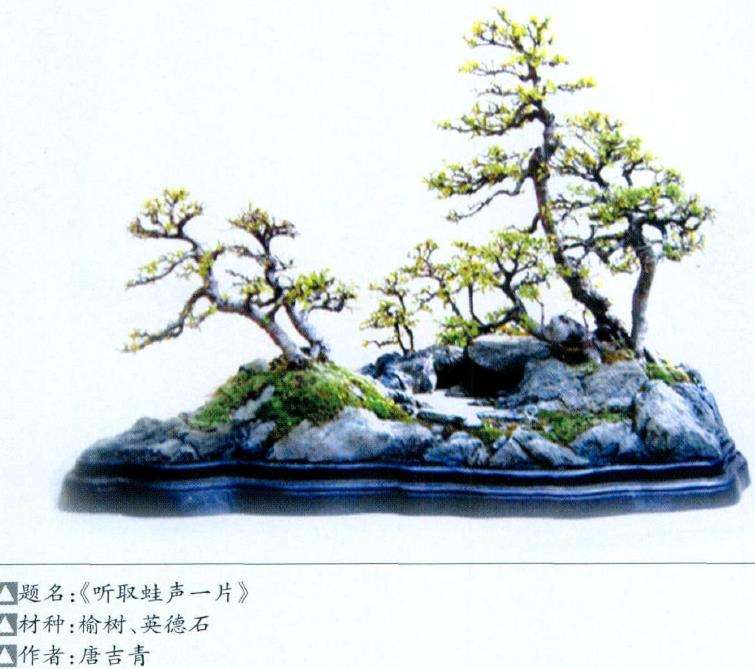 创新亦是盆景艺术发展中的重大课