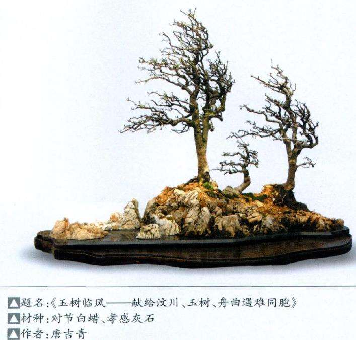 创新亦是盆景艺术发展中的重大课