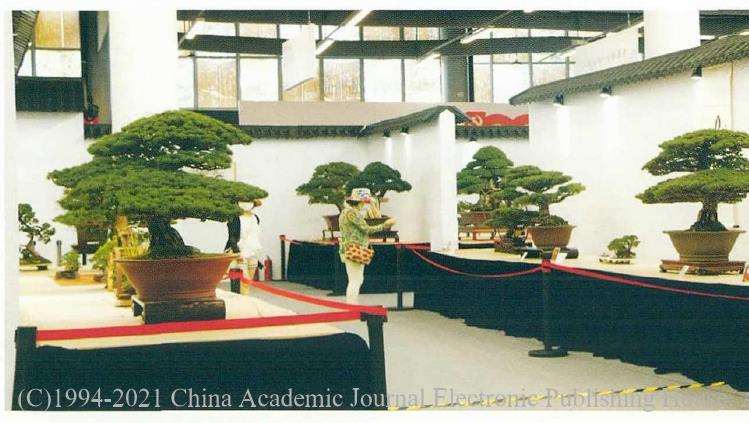 2021 上海第三届中国杯盆景大赛