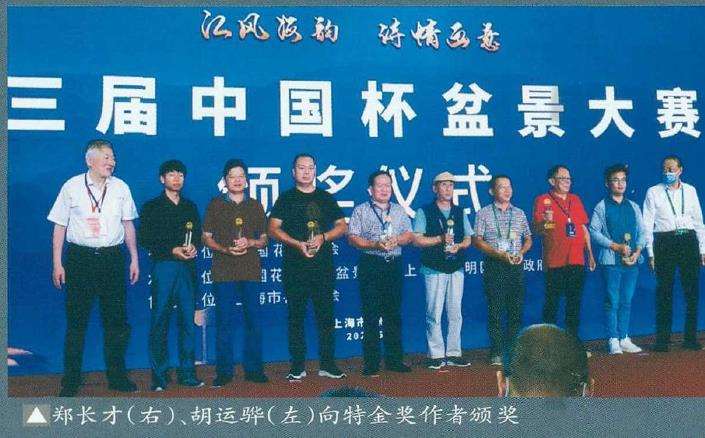 2021 上海第三届中国杯盆景大赛