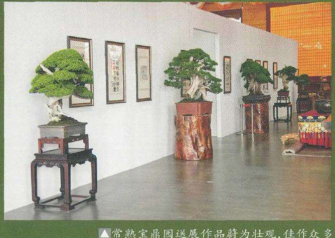 中国盆景展在上海龙华寺盛大开幕