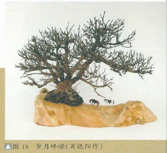 图解 天趣案景盆景怎么创作的5个思路