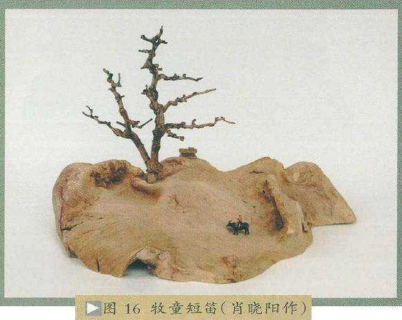 图解 天趣案景盆景怎么创作的5个思路