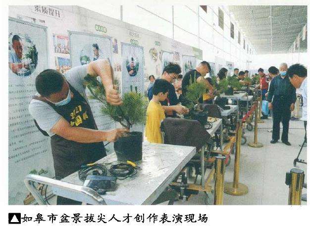 如皋小微盆景基地拉开帷幕