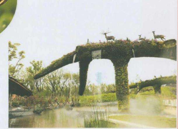 第十届中国花卉博览会室外展园欣赏