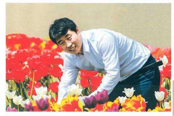 世界郁金香种球现状 发展趋势