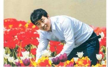 世界郁金香种球现状 发展趋势 图片