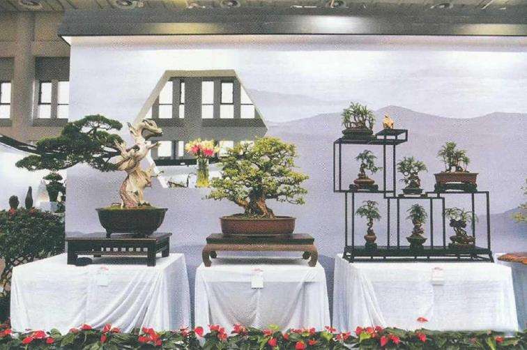 中国花卉博览会室内展馆荟萃 下篇