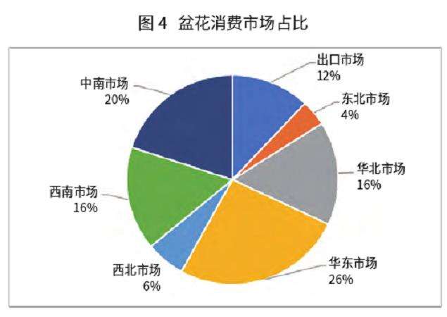 2020年至今盆栽市场走出低迷行情