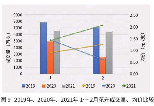鲜切花产销乘势而上