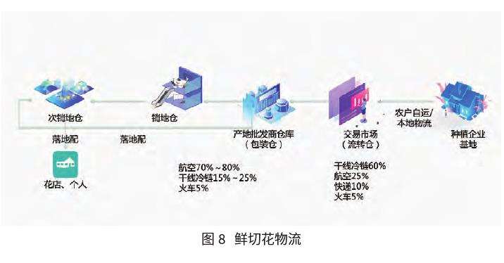 鲜切花产销乘势而上