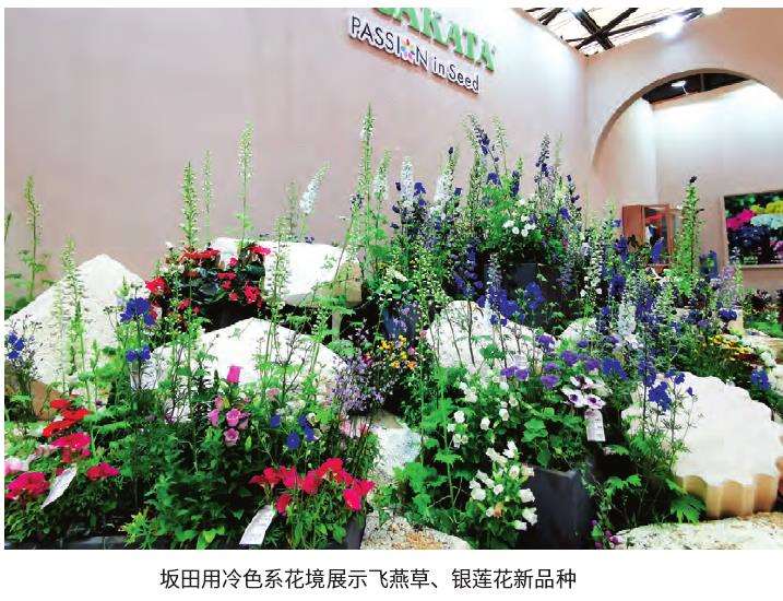 第23届中国花卉园艺展览会在上海举办