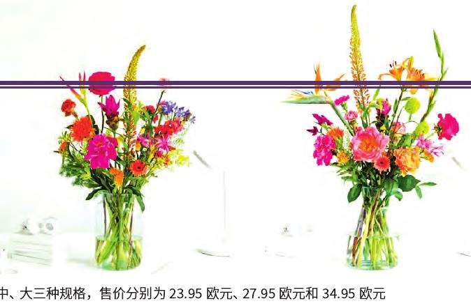 兰布鲁蒙是一家在线花卉销售公司