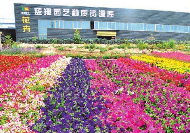 酒泉市蓝翔花卉园艺有限责任公司