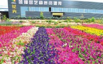 酒泉市蓝翔花卉园艺有限责任公司