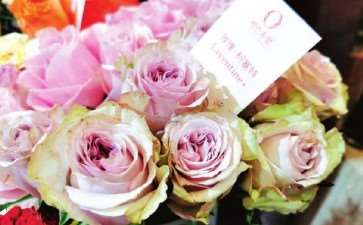 坂田今年也推出了大量切花新品种