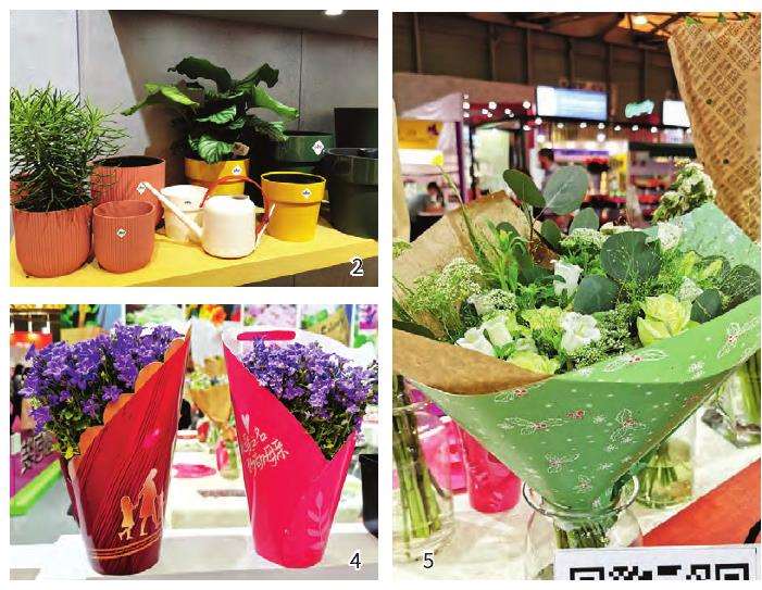 四川国光很早就关注家庭园艺市场