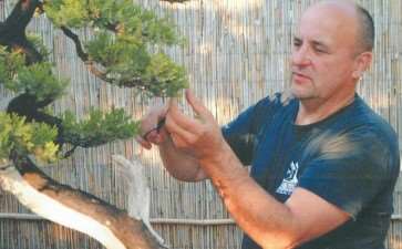 俄罗斯盆景艺术家 图片欣赏