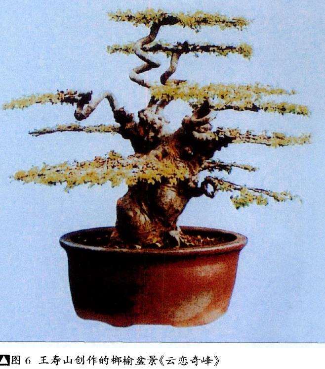 泰州盆景园位于泰山公园东北角