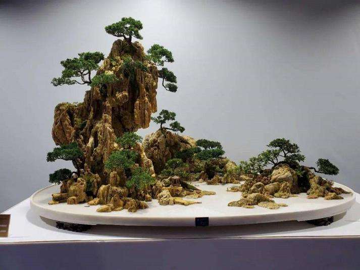 浅议盆景展览怎么评奖的4个方法