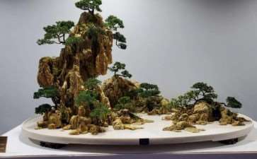 浅议盆景展览怎么评奖的4个方法