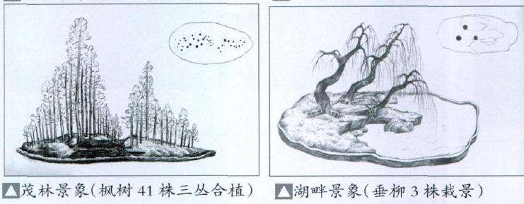 盆景合植怎么换土