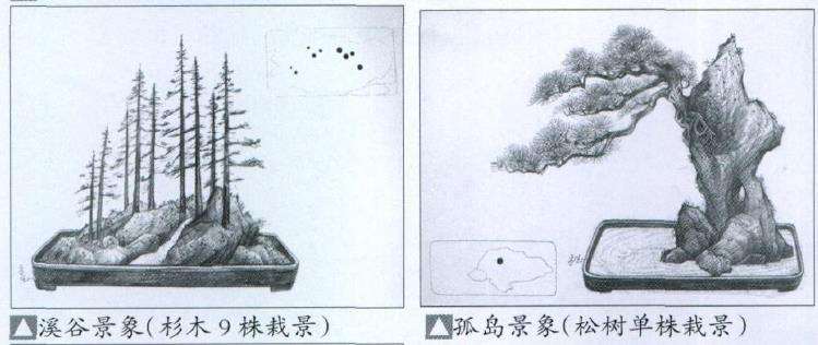 盆景合植怎么换土