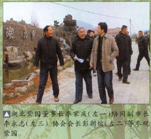 80人参加2010年钟祥盆景会议