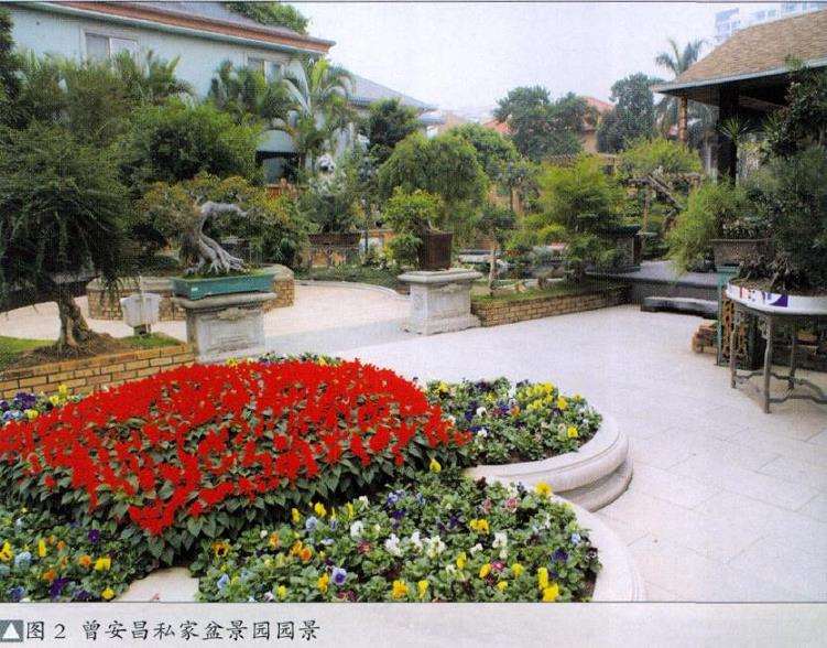 记广东省盆景协会会长