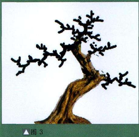 图解 九里香盆景怎么设计造型的步骤